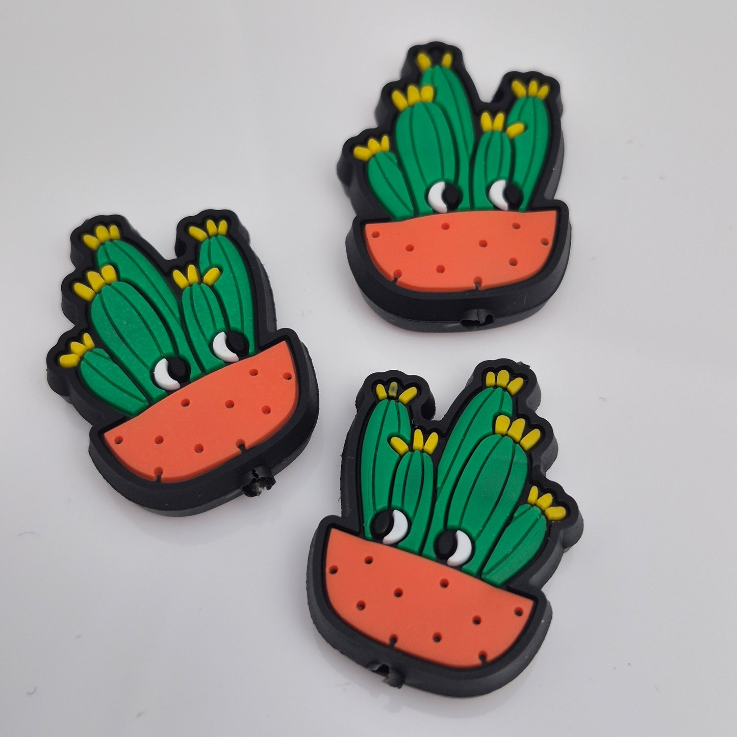Cactus - Focal