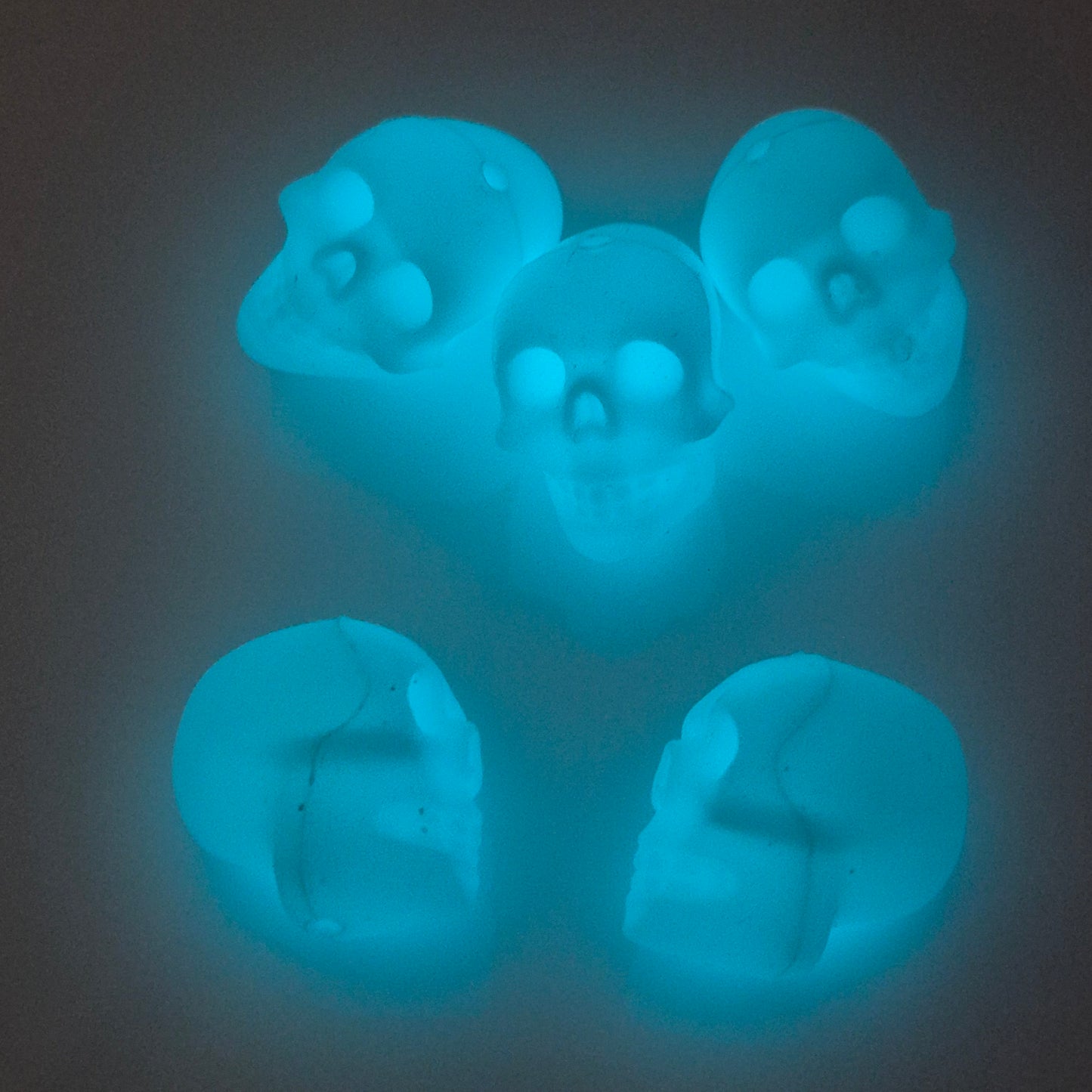 Skull - Glow in the Dark- 3d Focal