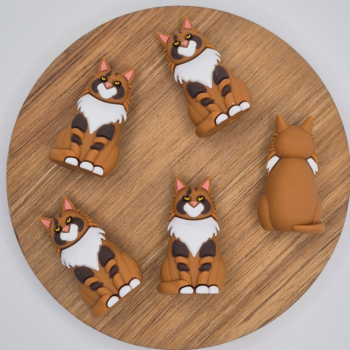 Brown Cat - 3d Focal