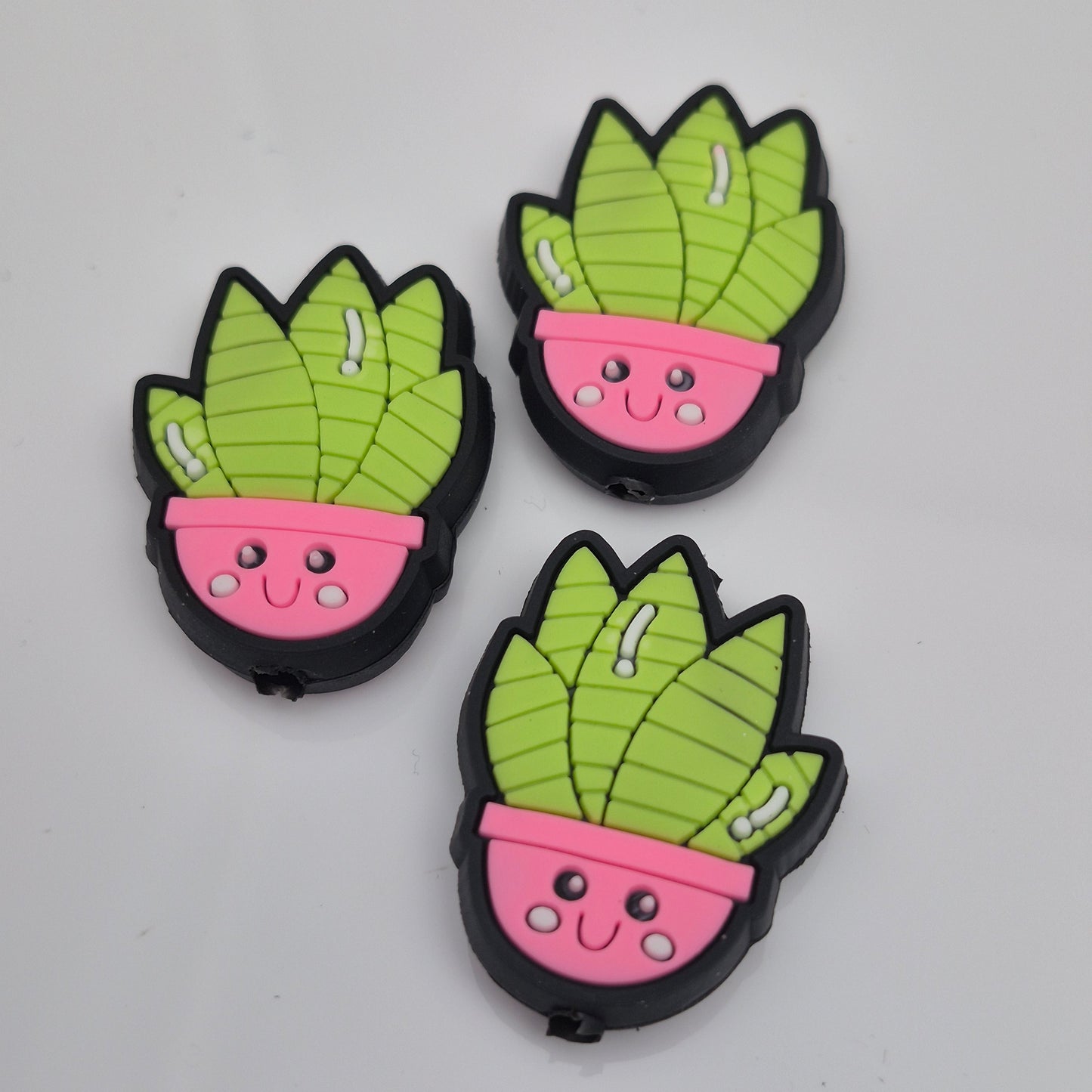 Cactus - Focal
