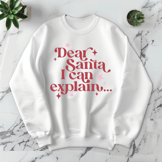 Dear Santa I Can Explain - DTF Transfer Print