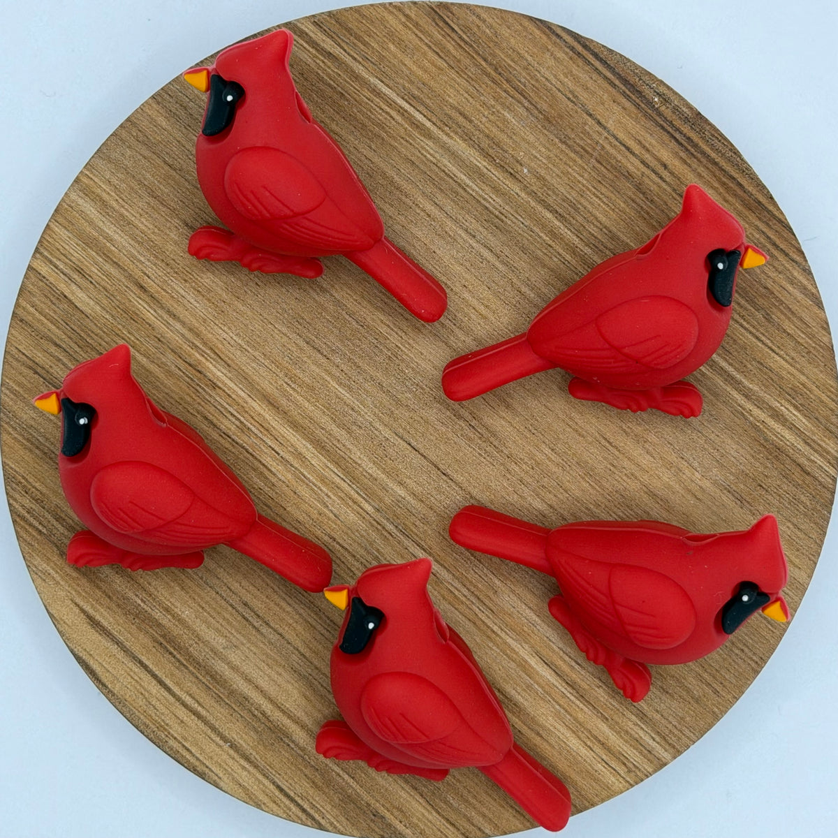 Sitting Cardinal -  3d Focal