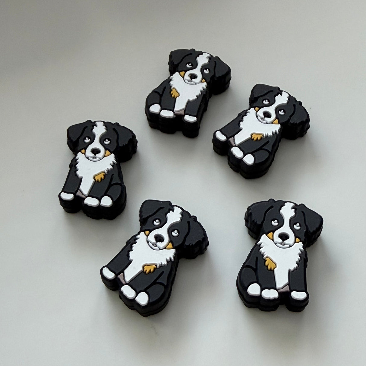 Dog - Focal