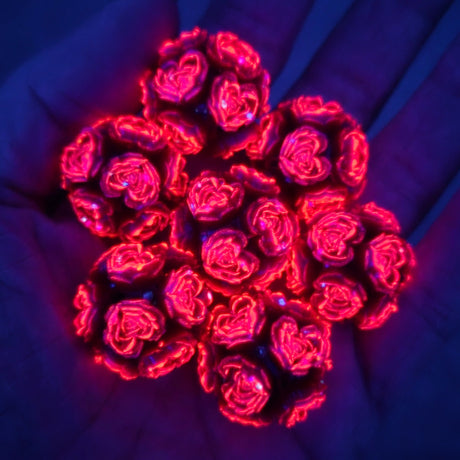 Heart Floral Glow 23mm Bead -  3d Acrylic Focal Bead