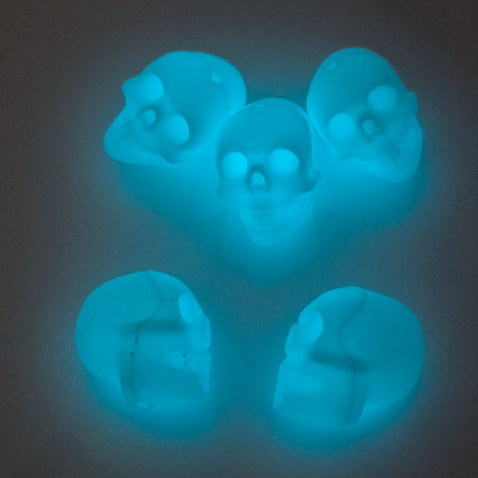 Skull - Glow in the Dark-  3d Focal