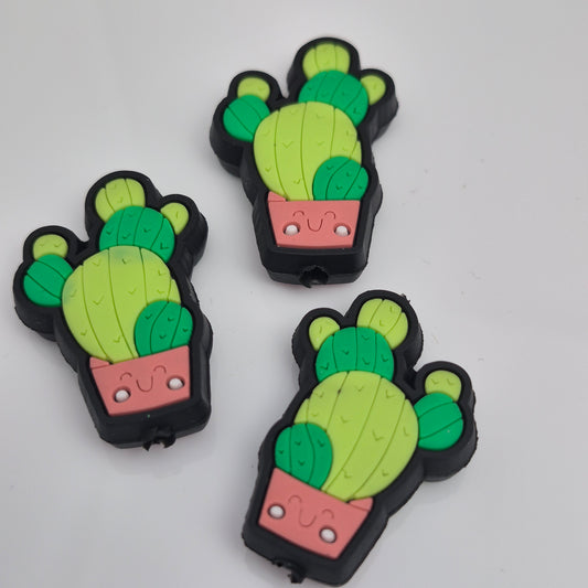 Cactus - Focal