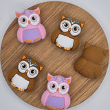 Owl -  3d Focal