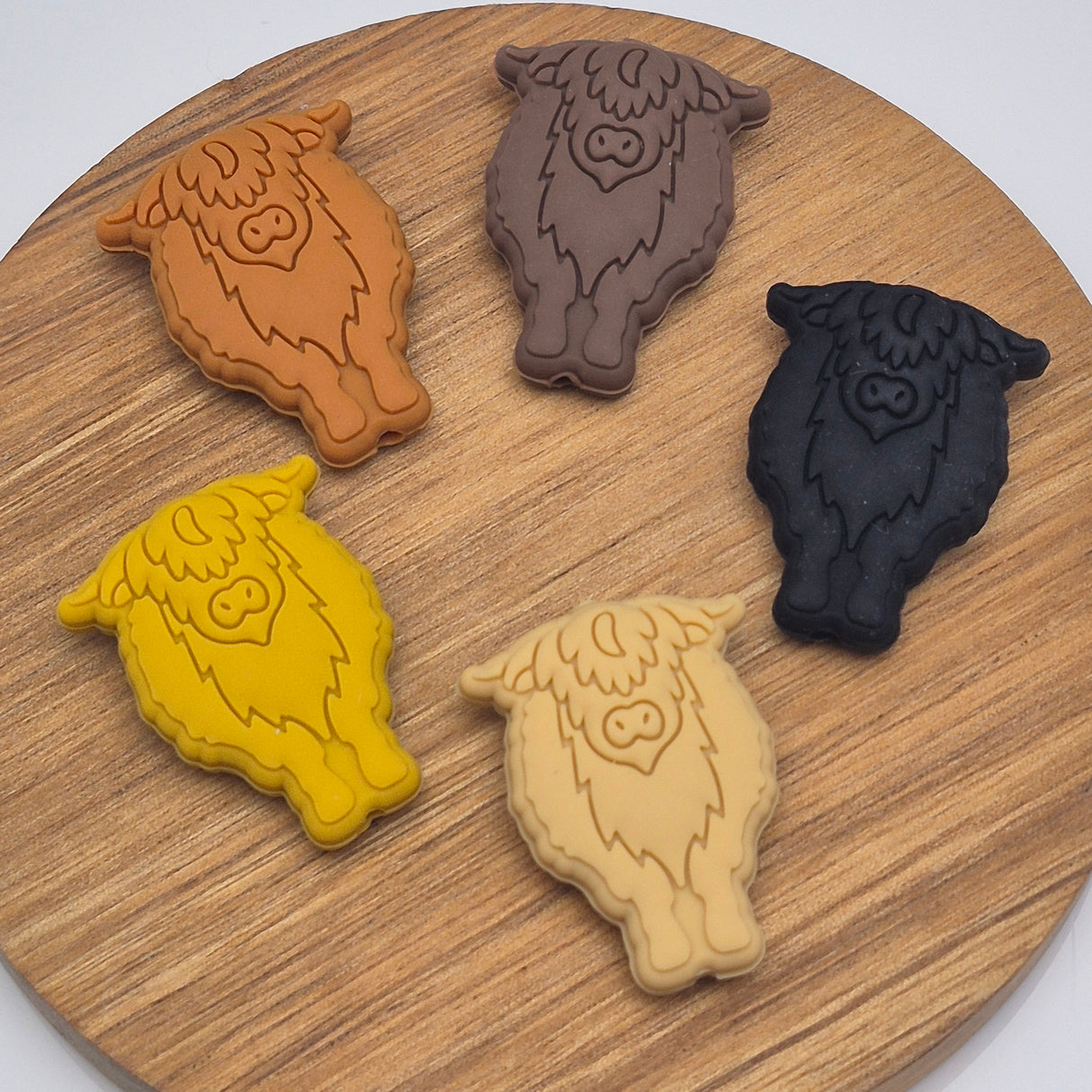 Fluffy the Highland Cow - Focal