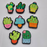 Cactus - Focal